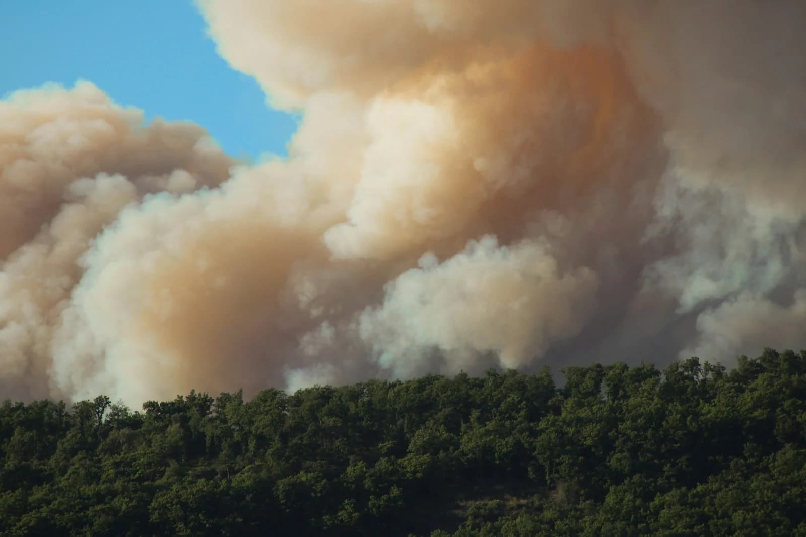 Belgium Is Burning and Northern Hotels Still Think Wildfire Is a Greek Problem