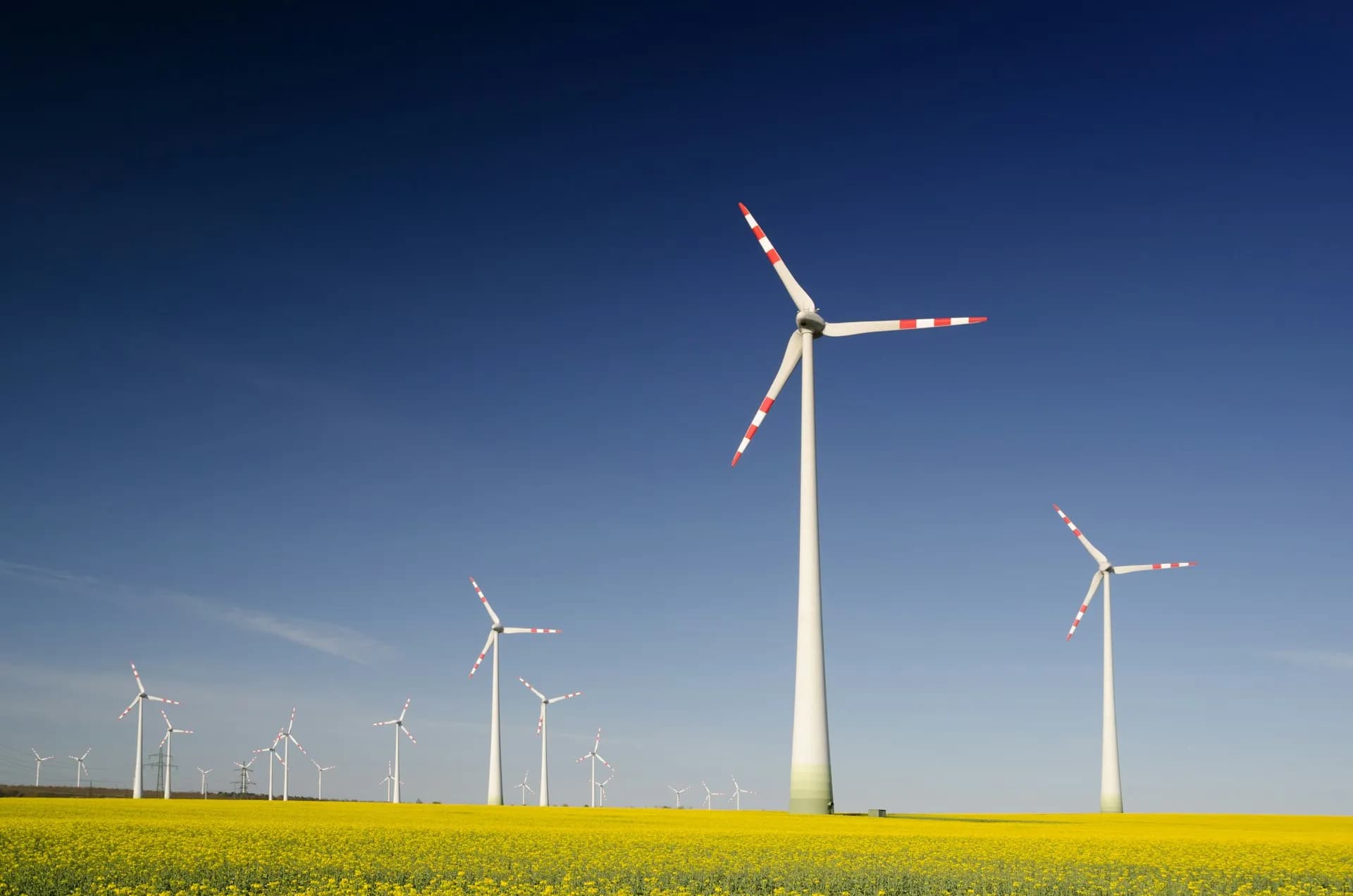EU Sustainability Rules: The Hidden Profit (and Cost) No One’s Talking About